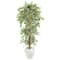 5.5ft. Elegant Ficus Tree in Decorative White Planter